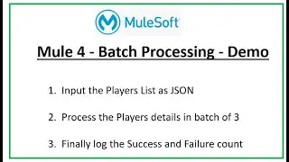 Mule 4 Batch Processing Part 1