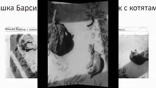 Котики моего детства