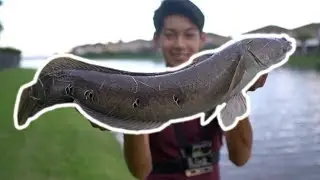 Hand lining a snakehead!!! (GONE WRONG)