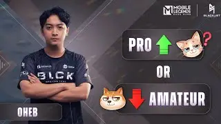 Pro or Amateur? | BLACKLIST.OHEB