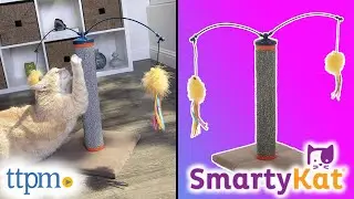 Scratch N' Spin Cat Toy