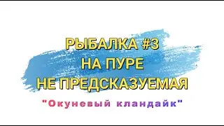 Не предсказуемая рыбалка на реке Пур.