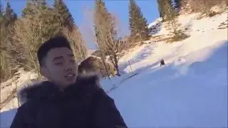 Sledging in Switzerland