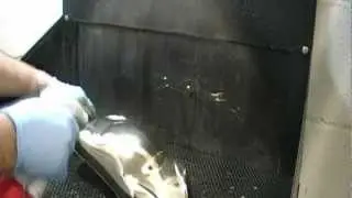 UK spray on chrome