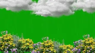 green screen rain fall