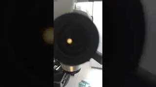 Zeiss opmi vish 160 , limpeza da óptica