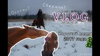 VLOG-мини: 