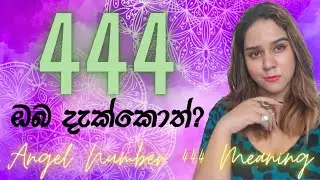 444 නිතර දකිනවද? ANGEL NUMBER 444 MEANING