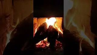 12 ноября 2023 г.
