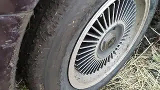 R15/60 195 на Приоре по грязи . Большой минус )