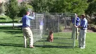 Basic Pro Kennels