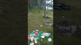 ПЬЯНЬ НА БАЙКАЛЕ.