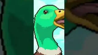 duck green screen free copyright mems 