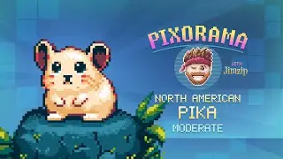 Pixorama: North American Pika