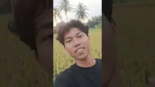 main ke sawah #shorts #healing