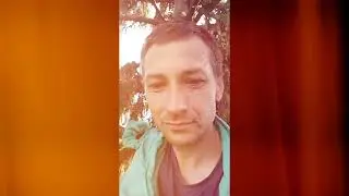 Зняв рій з ялини