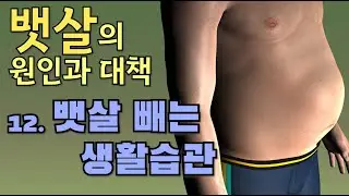 뱃살의 원인과 대책 - 12. 뱃살빼는 생활습관