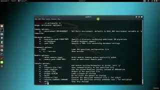 18  MSFconsole