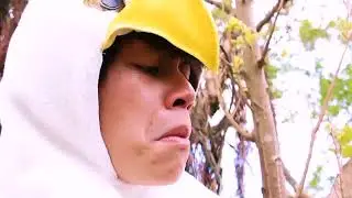 狂暴之翼 飞鸟1