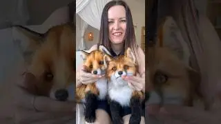 Какой лисенок нравится больше?