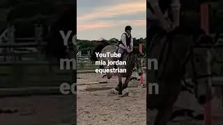 Horse jumping progression 👌