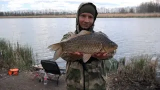 Spring Large Crucian Carp on a Feeder, 2020 Fishing Trip