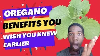 🔥Oregano🌿: Secrets You Wish You Knew Earlier😱🌿 (Benefits For Male and Female). I Tried It.