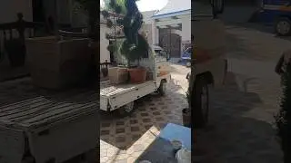 #ландшафт #газон #shortvideo ёлки канибадам