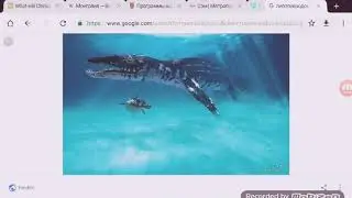 ЛИОПРИВАОДОН