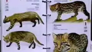 Guia de Animais Silvestres