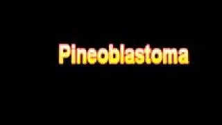 What Is The Definition Of Pineoblastoma Medical School Terminology Dictionary