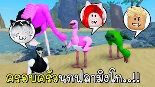 พี่ฝนพี่เอกปุ๊กปิ๊กเป็นครอบครัวนกฟลามิงโก 🦩🦩🦩  Roblox Feather Family Flamingo