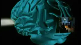 КАК МЫ ВИДИМ?