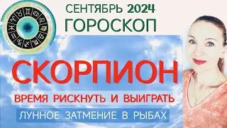 ♏ СКОРПИОН СЕНТЯБРЬ 2024 ГОРОСКОП НА МЕСЯЦ 🧿 ВРЕМЯ РИСКНУТЬ И ВЫИГРАТЬ