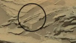 Martian Cereal? Curiosity Once Captured a 'Floating Spoon' on Mars