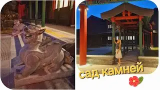 Новый рецепт для завтрака и ночной салатик. Ботанический сад  и парк Хуамин вечером🌙