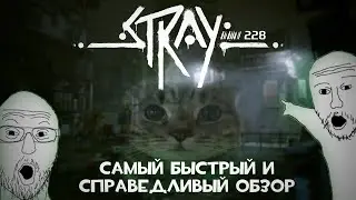 STRAY ОБЗОР | ПОЛНОЕ ГОВНИЩЕ?