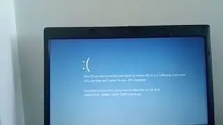 Lemongrab UNACCEPTABLE!! has BSOD (Mini8.1)