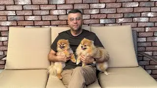 Лола Аферистка зашла в гости к Тее | Алопеция методы лечения