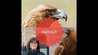 ANCHOR MAIA 01229 "3D Орёл (3D Eagle)"финал #ANCHOR MAIA #3D Eagle