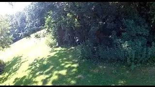 Amsterdam Forest