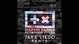 Martin Garrix - Forbidden Voices (Jake Liedo Remix)