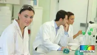 Affordable Spectroscopy Systems for Education and Research Labs