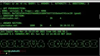 System Foundations: DNS Configuration