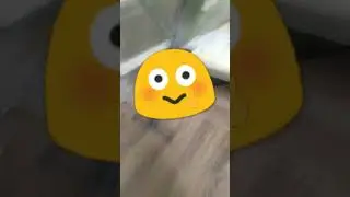 правда