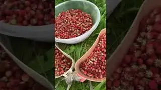 Смотри на небо