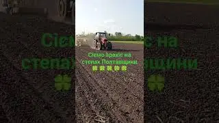 @Арахіс@Полтавщина@Україна@Урожай2023