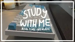 💙🦋 real time study with me | mechanical keyboard typing asmr (rk84 w/ gat yellows) & no music