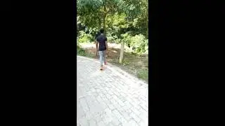 ✓_$/ o tikka mas so ,__short video song new 2021 Hide aslam short music