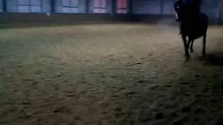 Калип лево принимание на рыси